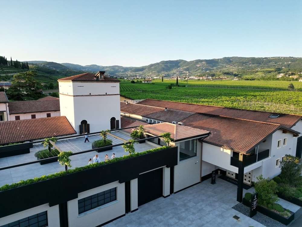 Farina Wines