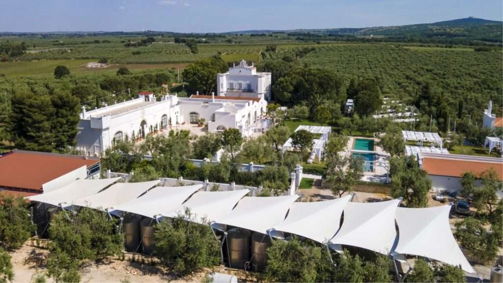 Una copertura ombreggiante per il fermentino