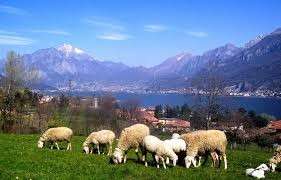 fonte Slow Food