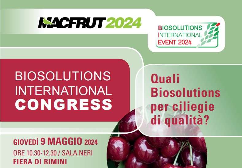 fonte ufficio stampa