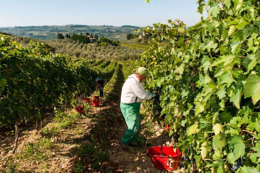 fonte ufficio stampa Galli Torrini