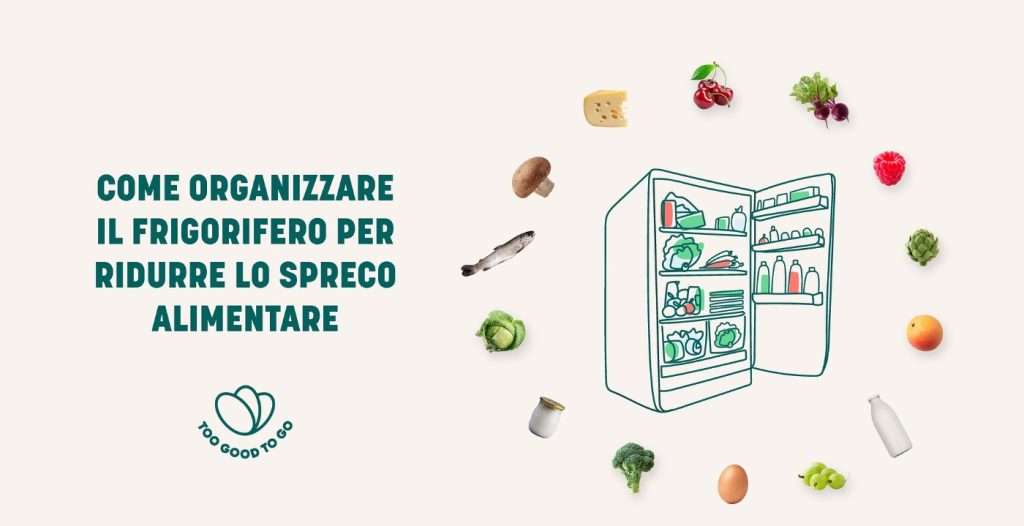 fonte ufficio stampa TEAM LEWIS