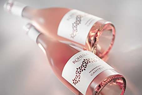 Cantele Winery