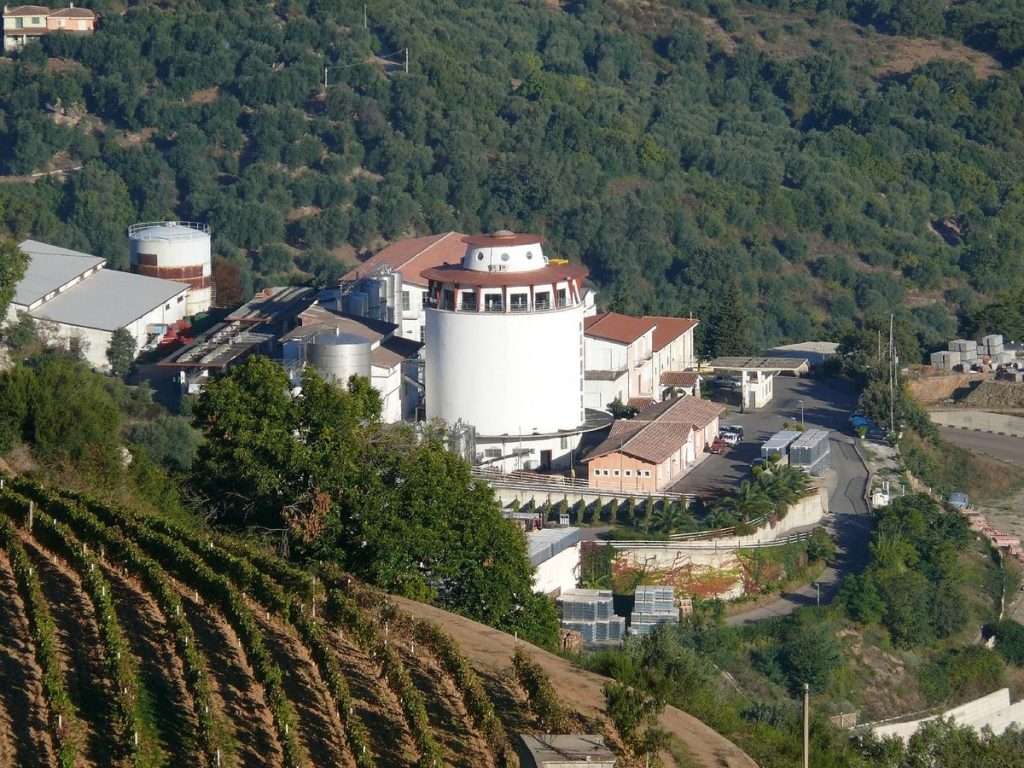 fonte Antichi Poderi Jerzu