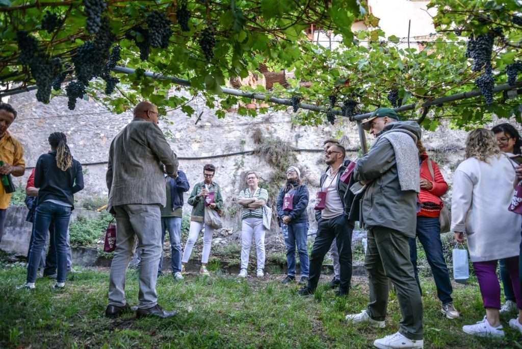 Tra vigneti e palazzi, Fototeca Comune Isera, Ph Benedetta Andreolli, fonte Stradavinotrentino
