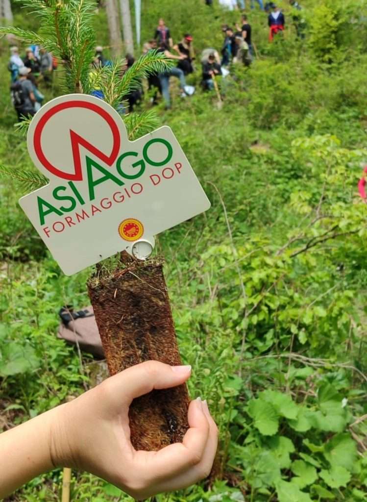 fonte ufficio stampa Traguardi