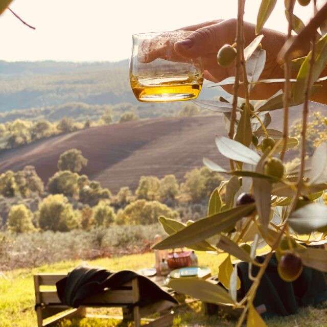 fonte La Maliosa