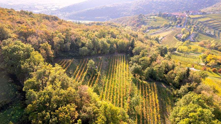 fonte franciacorta.wine