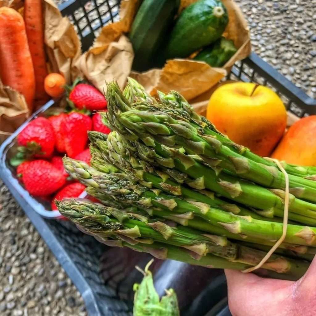 Foto