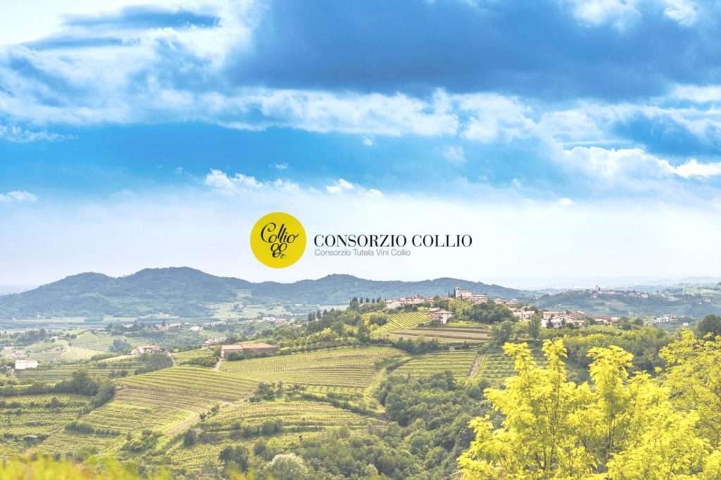 fonte ufficio stampa