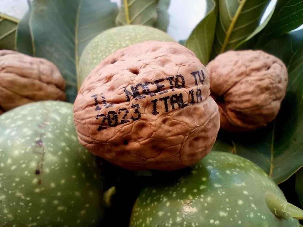 fonte ufficio stampa