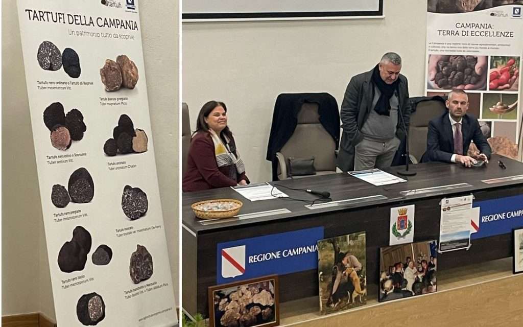 Associazione Elsa