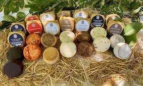 fonte Toscana News