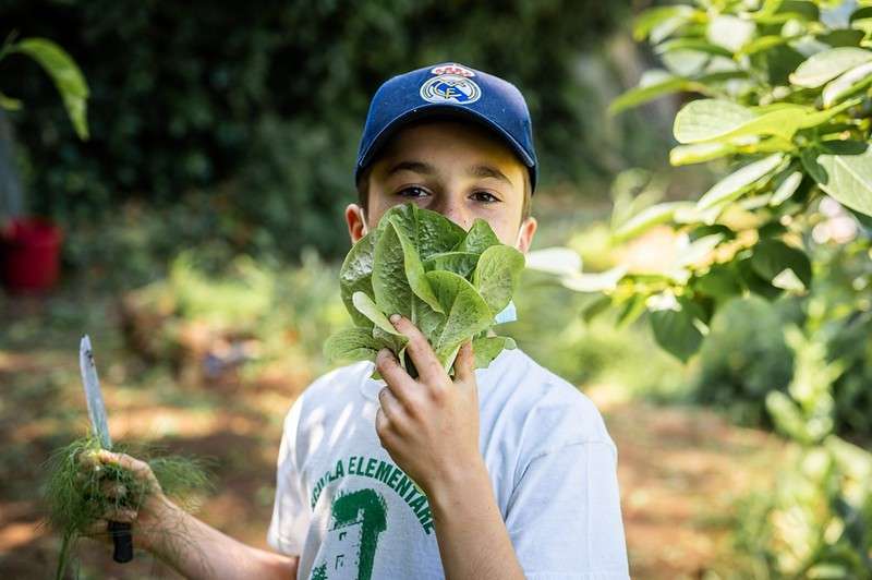 fonte ufficio stampa Slow Food
