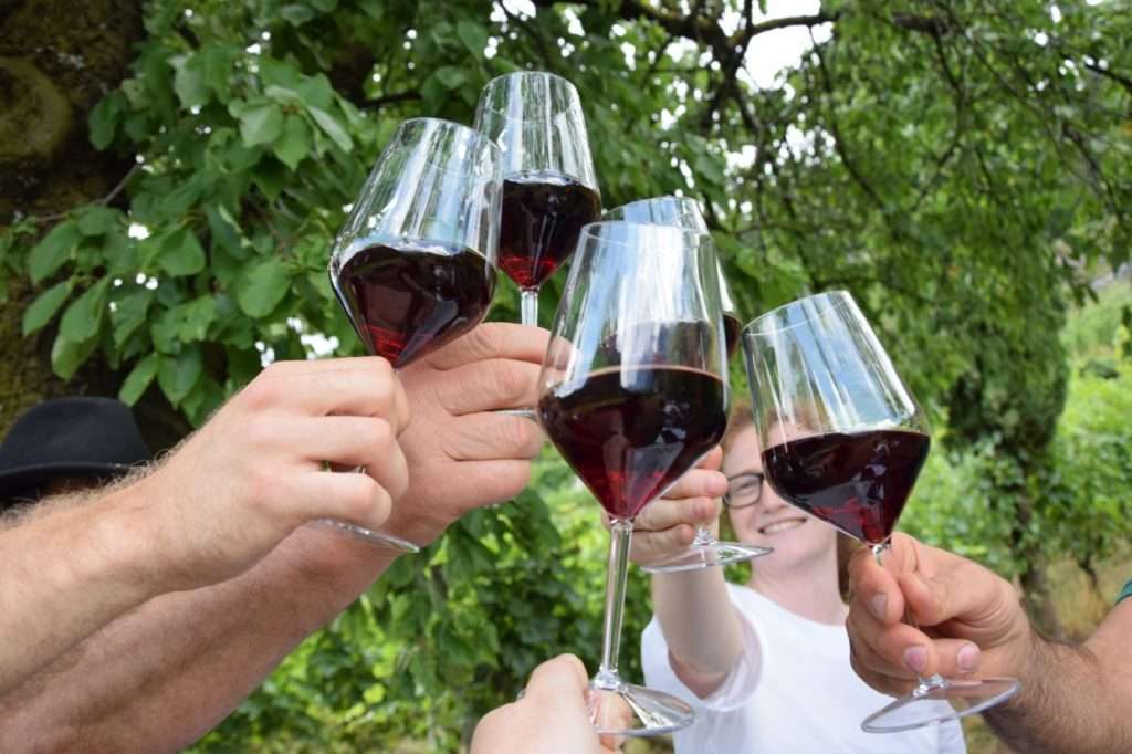 fonte ufficio stampa Strada del Vino e dei Sapori del Trentino