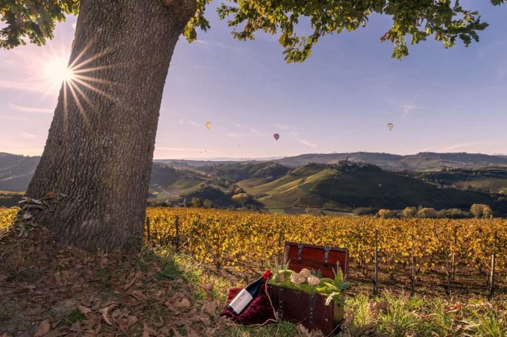 Langhe Experience