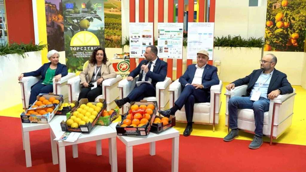 fonte AgenziaPrimaPagina