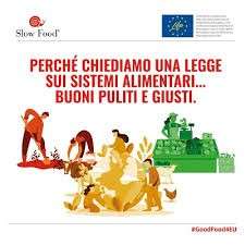 fonte PugliaLive