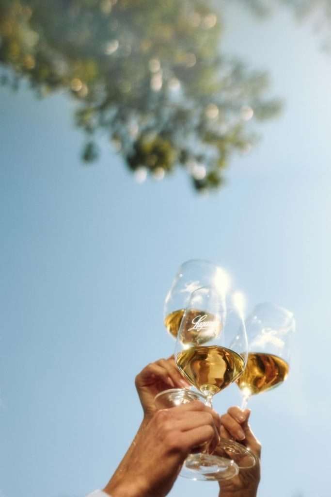 ConsorzIo Tutela Lugana DOC
