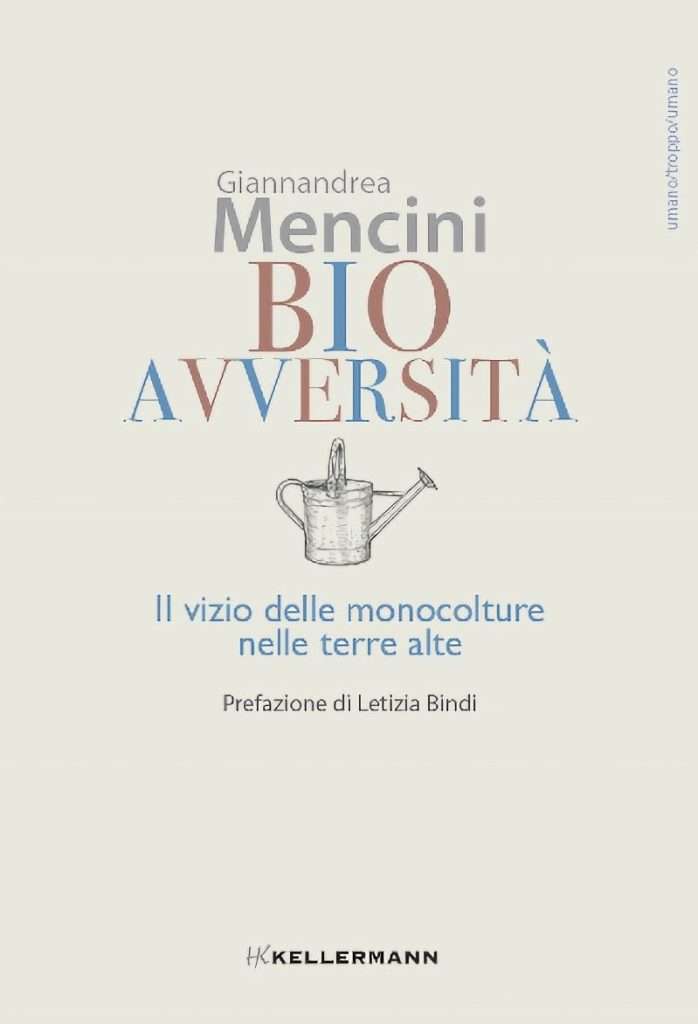 fonte ufficio stampa ddlarts