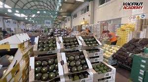 fonte Macfrut