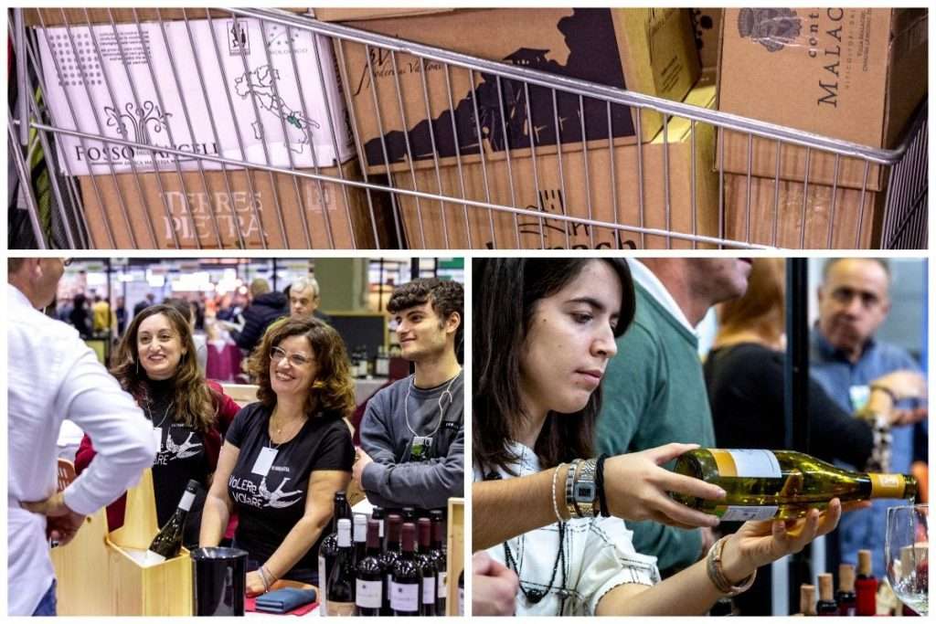 LINK foto - (c) Mauro Fermariello - Winestories - Archivio FIVI