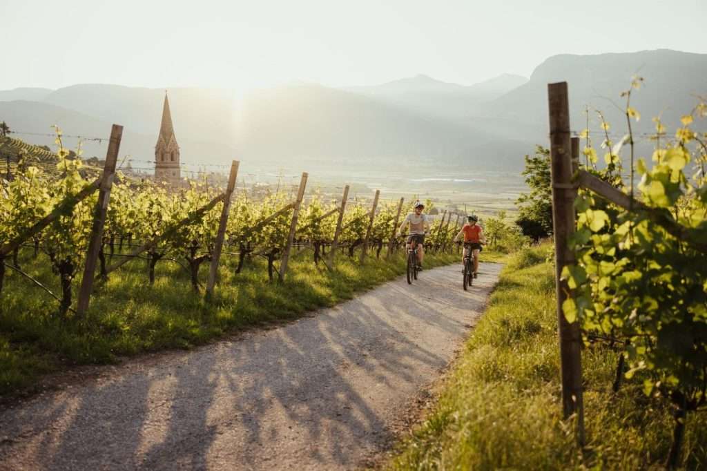 Sudtirol Wein AlexMoling_2, fonte ufficio stampa Zedcomm