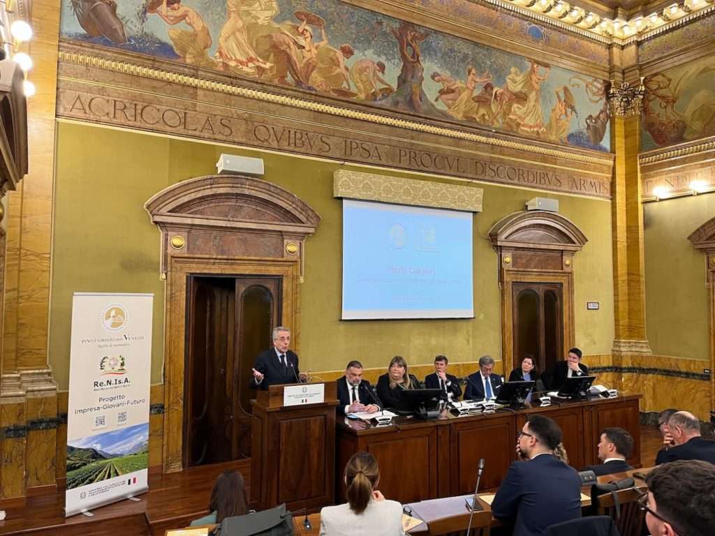 fonte ufficio stampa