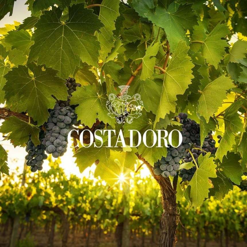 fonte ufficio stampa