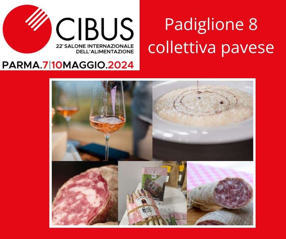 fonte ufficio stampa
