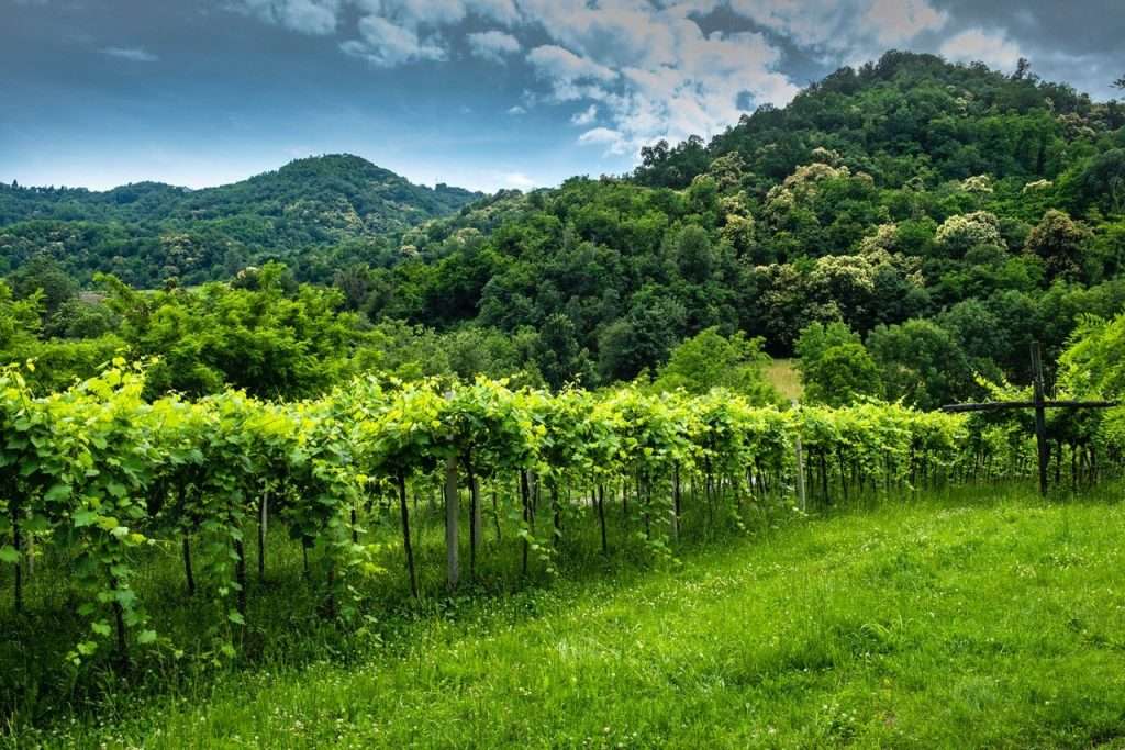 fonte IlSoave