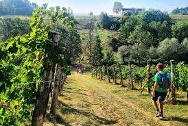 La Strada Franca nei dintorni di Bergamasco, fonte Vailati & Savarro Comunicazioni Agency