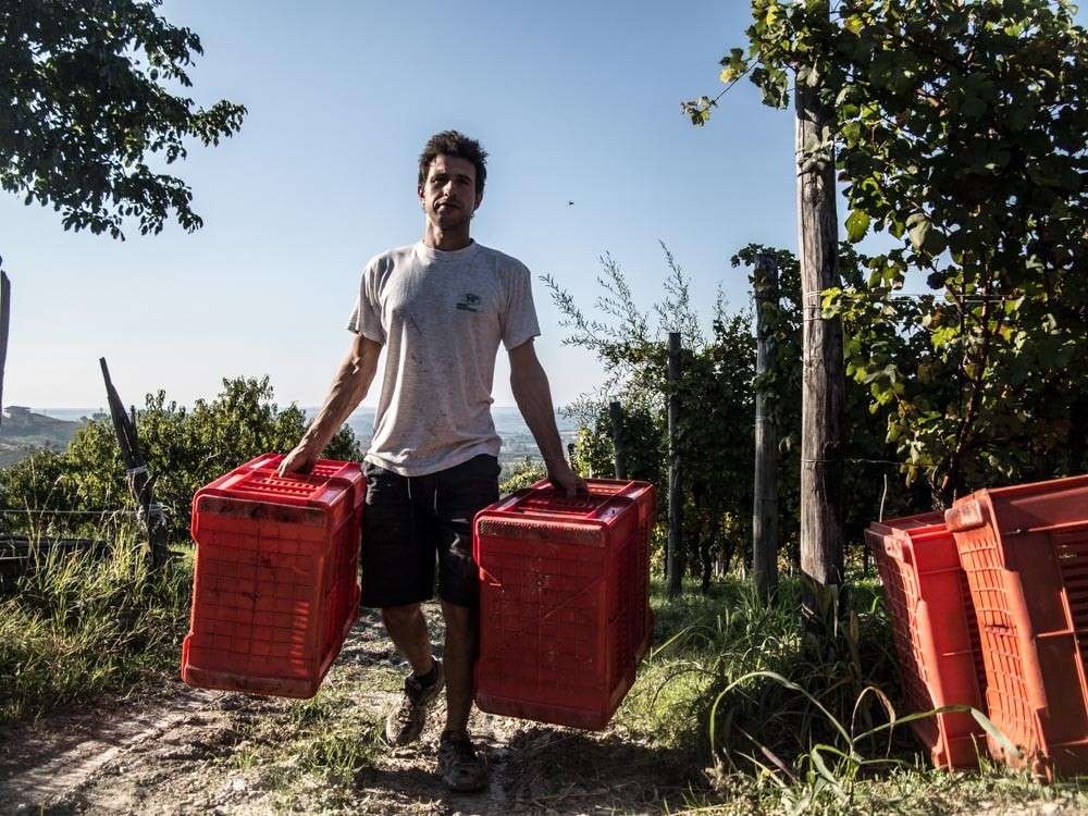 Andrea Cauda, fonte ufficio stampa