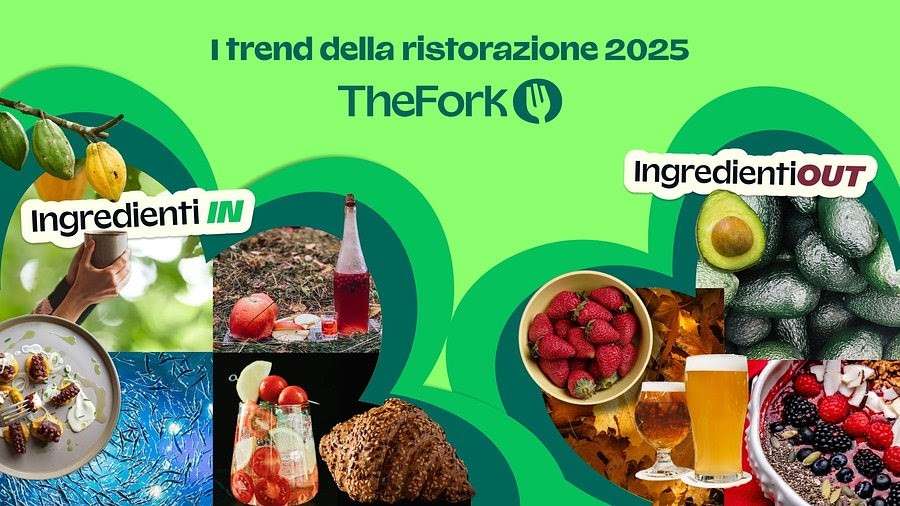 fonte ufficio stampa Team Lewis