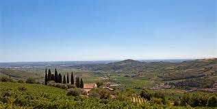 fonte Mille Vigne