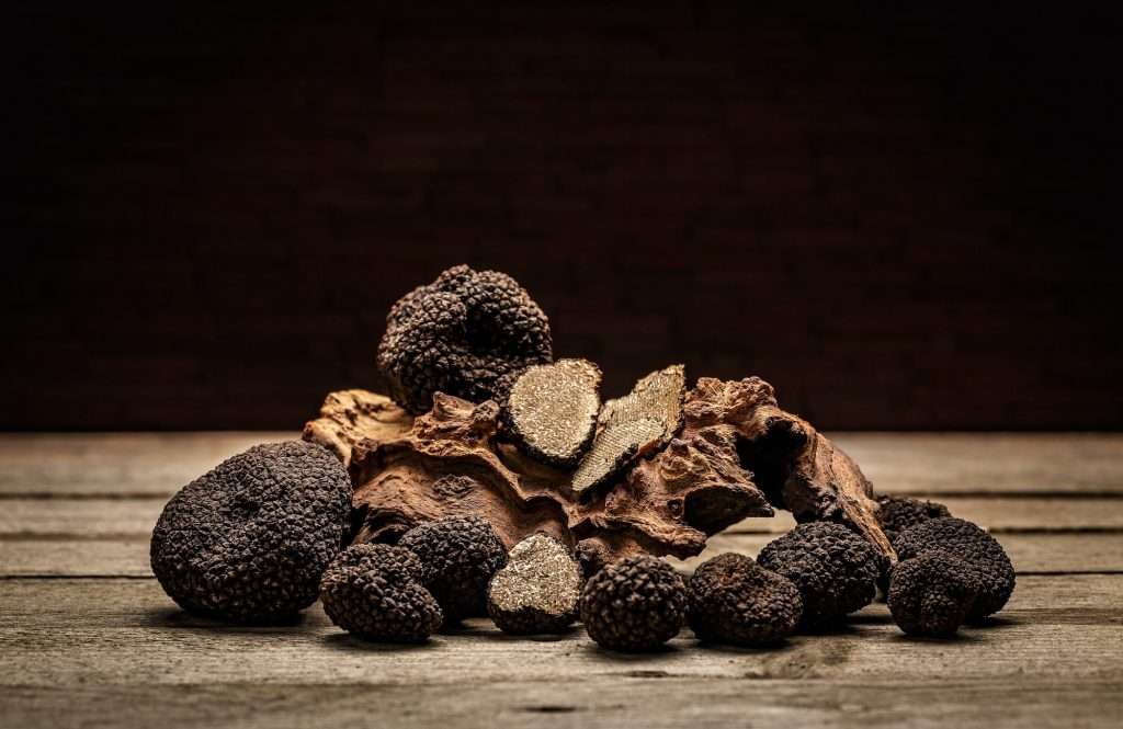 Black truffle mushroom