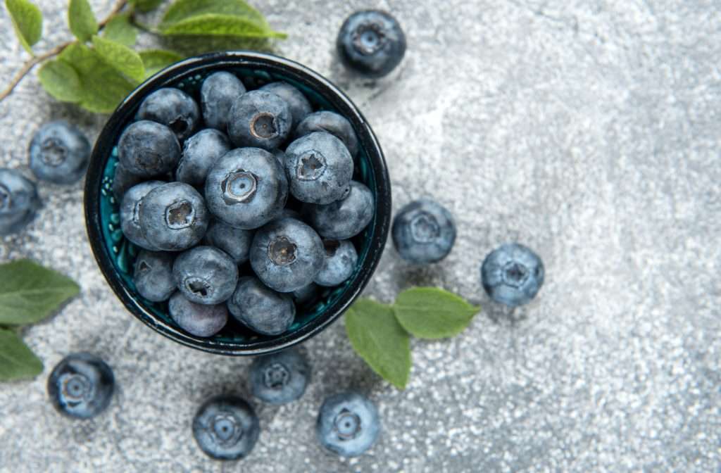 Freshly picked blueberries