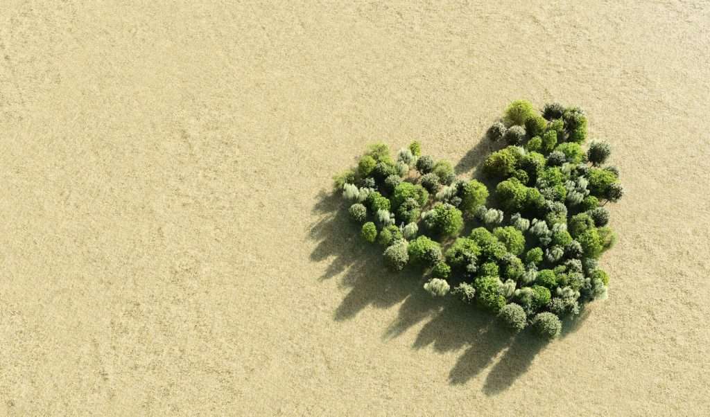 Green trees forming heart. Love, Valentine's day, Earth Day