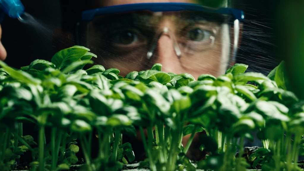 scientist irrigate green seedling in laboratory