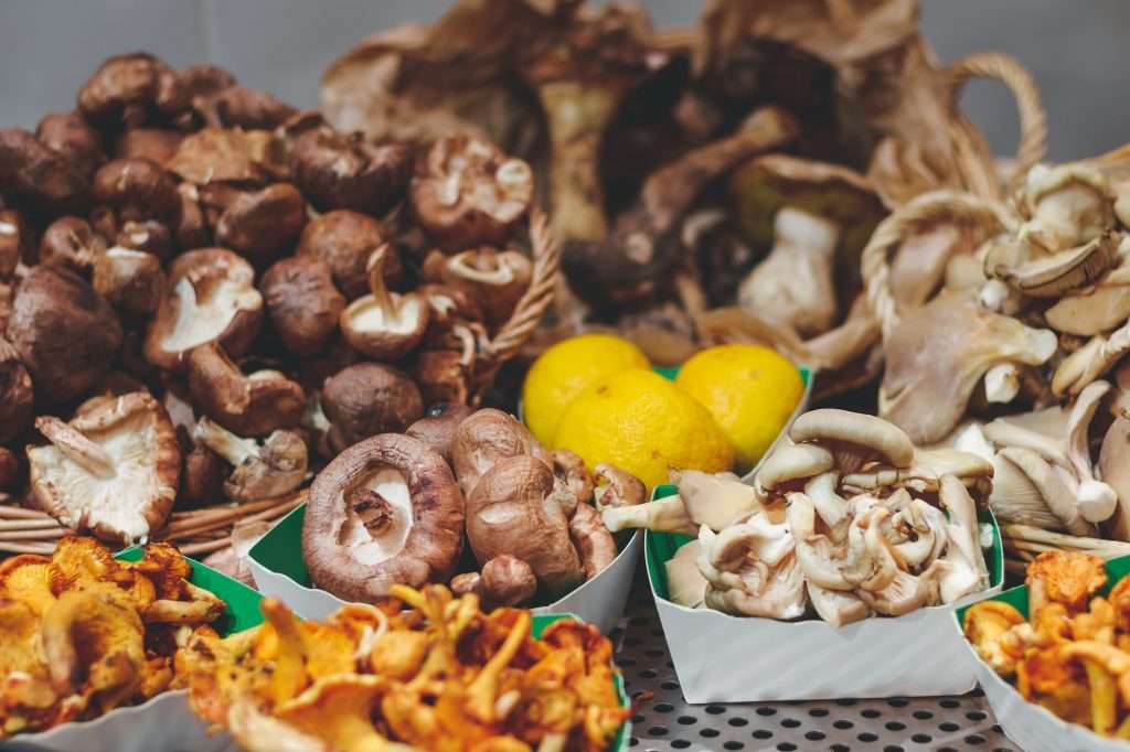 Various fresh mushrooms on a showcase in a product shop.